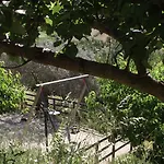 Κατάλυμα σε φάρμα Il Casale Delle Rose *