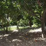 Il Casale Delle Rose Κατάλυμα σε φάρμα *