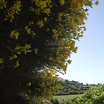 Il Casale Delle Rose
