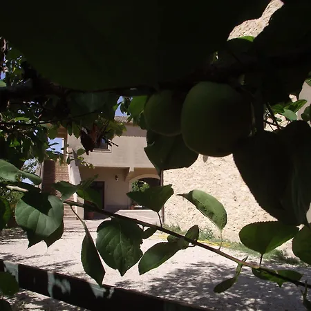 Il Casale Delle Rose Κατάλυμα σε φάρμα